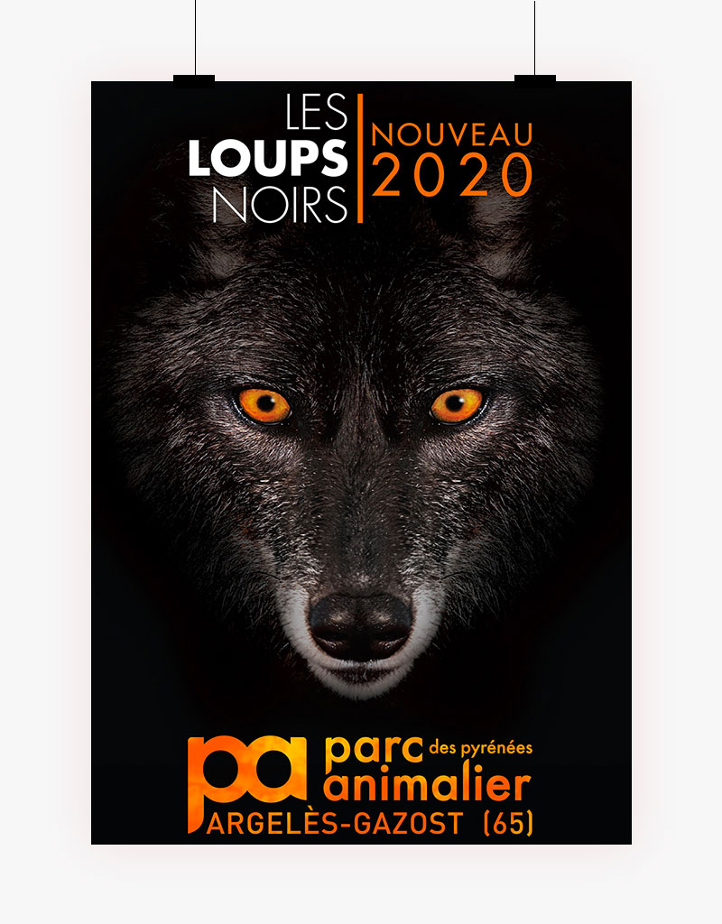 Parc animalier des Pyrénées, les loups noirs